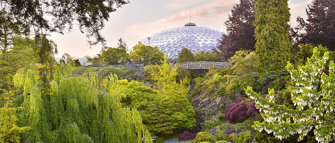 New Lighting for the Bloedel Conservatory in Vancouver